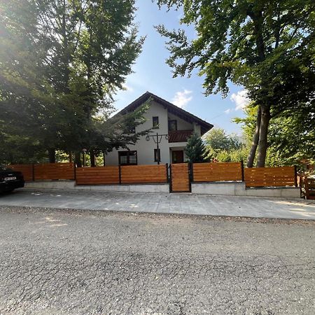 Casa De Vacanta Mogosa Baia-Sprie Dış mekan fotoğraf