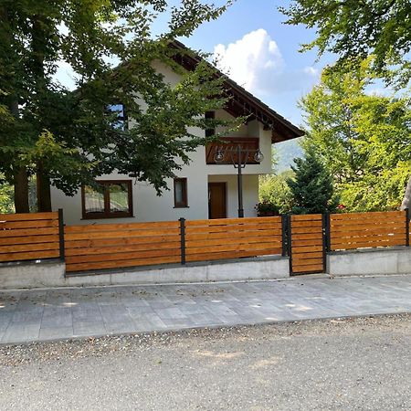 Casa De Vacanta Mogosa Baia-Sprie Dış mekan fotoğraf