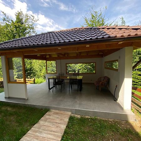 Casa De Vacanta Mogosa Baia-Sprie Dış mekan fotoğraf