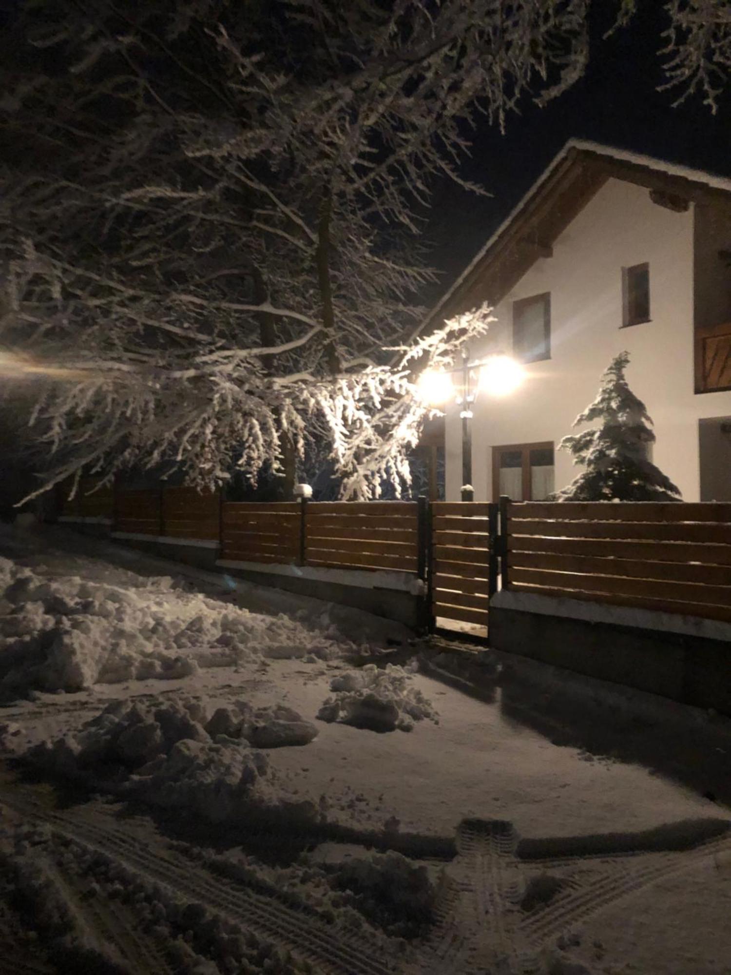 Casa De Vacanta Mogosa Baia-Sprie Dış mekan fotoğraf