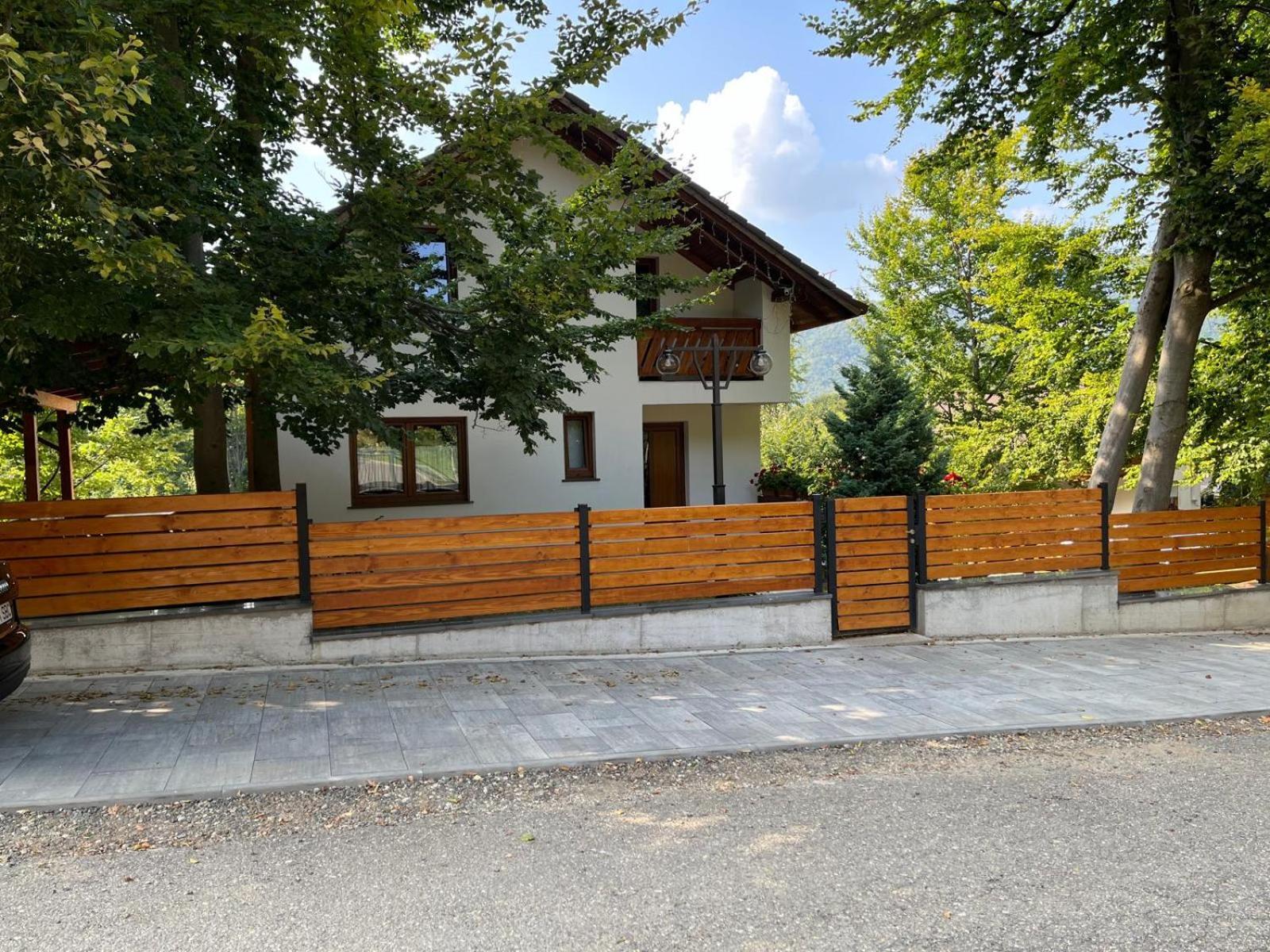 Casa De Vacanta Mogosa Baia-Sprie Dış mekan fotoğraf