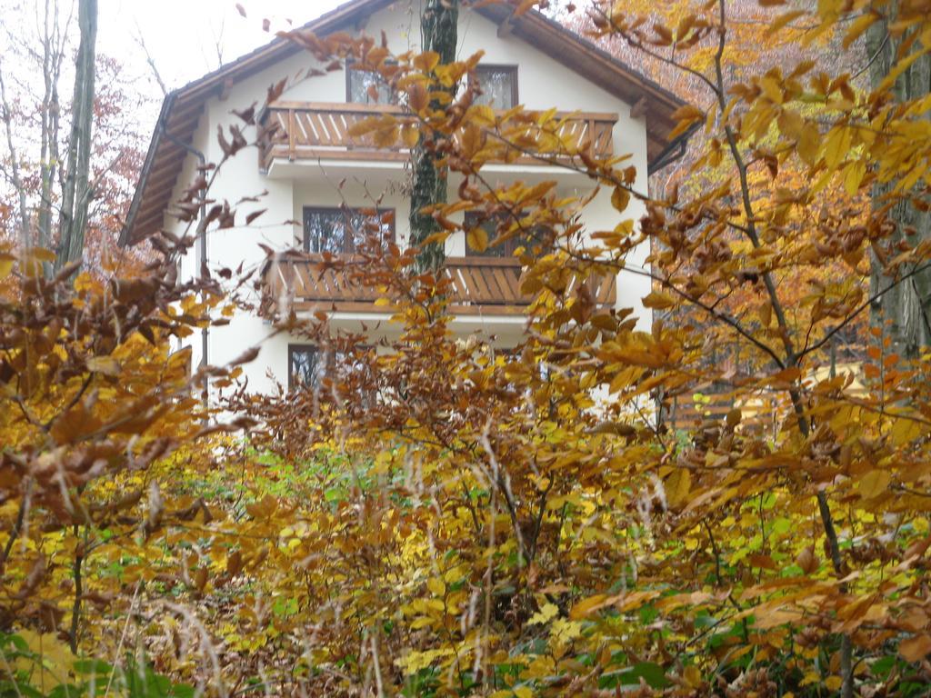 Casa De Vacanta Mogosa Baia-Sprie Dış mekan fotoğraf