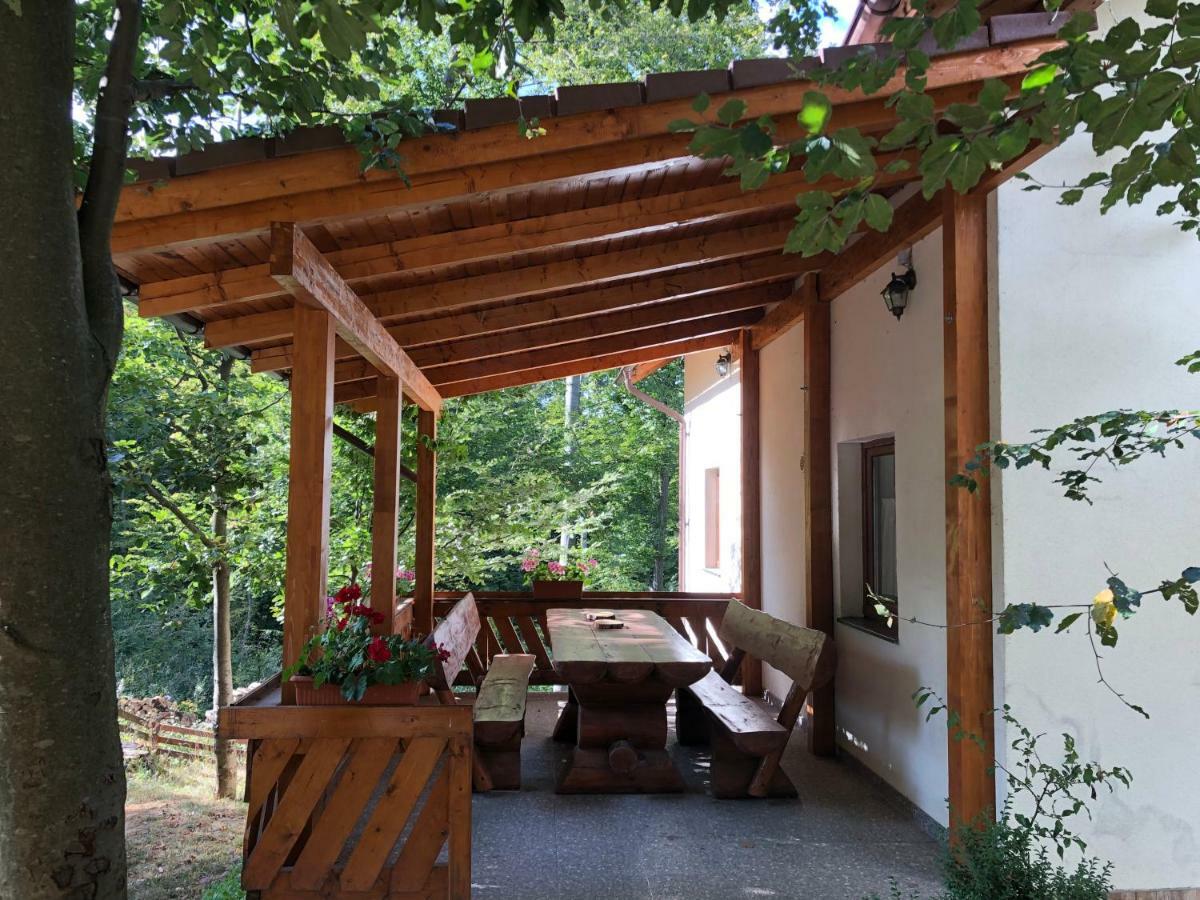 Casa De Vacanta Mogosa Baia-Sprie Dış mekan fotoğraf