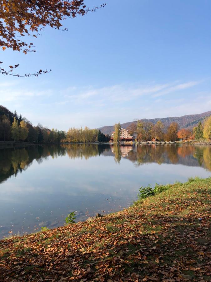 Casa De Vacanta Mogosa Baia-Sprie Dış mekan fotoğraf