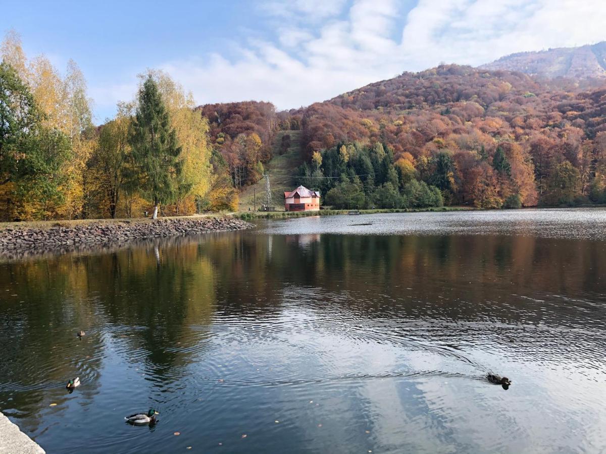 Casa De Vacanta Mogosa Baia-Sprie Dış mekan fotoğraf
